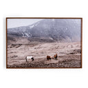 WILD HORSES