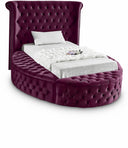 Luxus Velvet Upholstered Twin Bed - Purple
