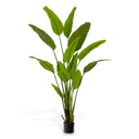 Green Artificial Plant Strelitzia