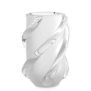 Frosted Glass Vase Celestino