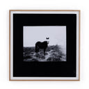 BLANK HORSE BY ANNIE SPRATT