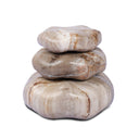 Petrified Wood Organic Sculpture, Set Of 3