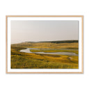 WHERE THE BUFFALO ROAM BY WESLEY AND EMMA TEAGUE