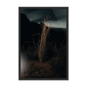 OCOTILLO II BY MANDY STEINBACK