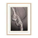 JELLIES 4 BY PLATINUM REVIVAL