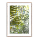 GOLDEN YEARS BY FOUNTAIN GRASS STUDIOS