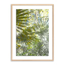 GOLDEN YEARS BY FOUNTAIN GRASS STUDIOS