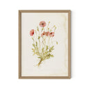 Papaveraceae No. 2 By Laurel-Dawn Latshaw