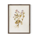 Viola No. 2 By Laurel-Dawn Latshaw