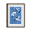 Blue Dogwood By Laurel-Dawn Latshaw
