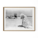 Lois At The Beach by Barbara Alper