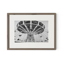 Coney Island by Barbara Alper