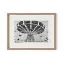 Coney Island by Barbara Alper