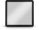 Parker Ash Veneer Framed Mirror - Black