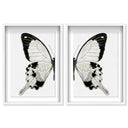 Monochrome Butterfly SET
