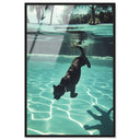 Panther Swim