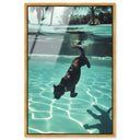 Panther Swim