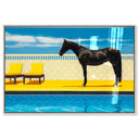 Palm Springs Stallion