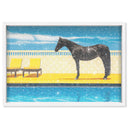 Palm Springs Stallion