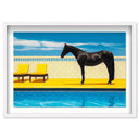 Palm Springs Stallion