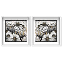 Glam Owl set