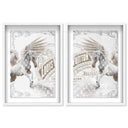 Double vision set