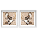 Bird of prey set
