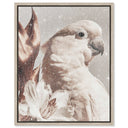 Pale Cockatoo I