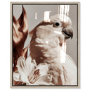 Pale Cockatoo I