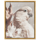 Pale Cockatoo I