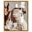 Pale Cockatoo I