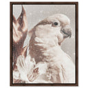 Pale Cockatoo I