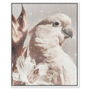 Pale Cockatoo I