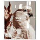 Pale Cockatoo I