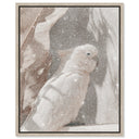 Pale Cockatoo III