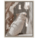 Pale Cockatoo III