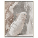 Pale Cockatoo III