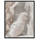 Pale Cockatoo III