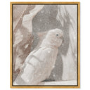 Pale Cockatoo III