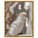 Pale Cockatoo III
