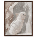 Pale Cockatoo III