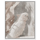 Pale Cockatoo III