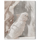 Pale Cockatoo III
