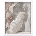 Pale Cockatoo III