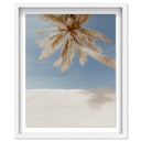 Creamy Coastal II