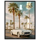 Sunkissed Roadster
