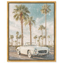 Sunkissed Roadster