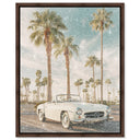Sunkissed Roadster