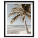 Creamy Coastal I