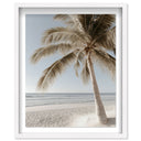 Creamy Coastal I